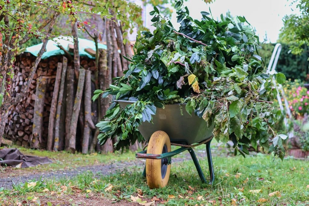 wheelbarrows, wheelbarrow, green cut-4518854.jpg